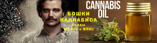 сатива Санкт-Петербург