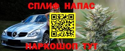 молекула духа Гай