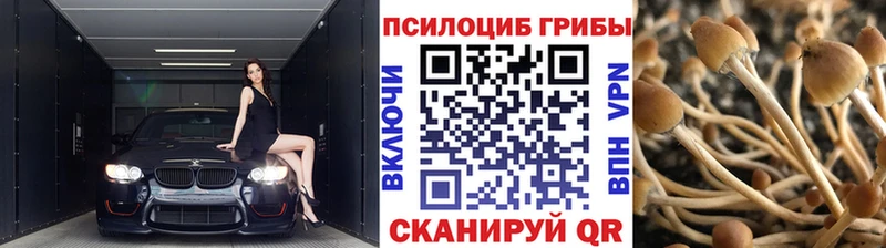 Псилоцибиновые грибы мицелий Алушта
