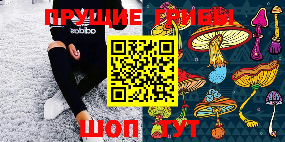 Псилоцибиновые грибы прущие грибы  где купить наркоту  Алушта 