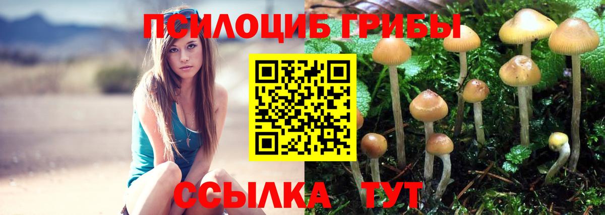 Галлюциногенные грибы мухоморы Алушта