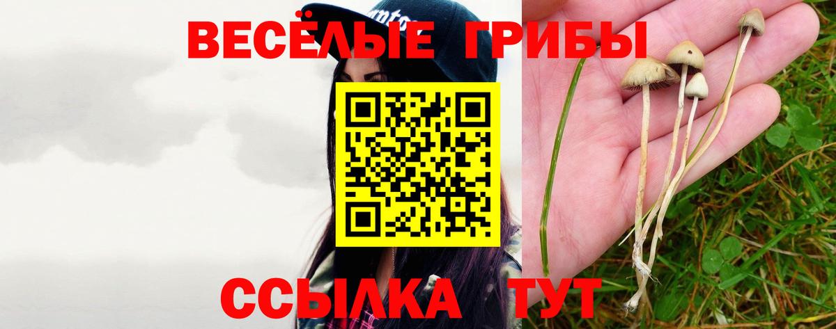 Псилоцибиновые грибы ЛСД Алушта