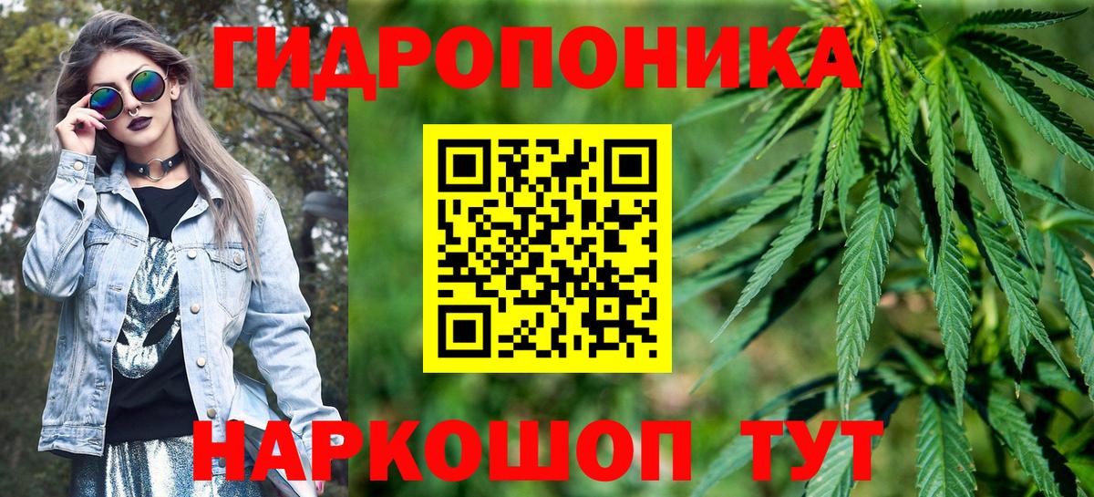 МАРИХУАНА OG Kush  Алушта  Каннабис планчик  МАРИХУАНА тримм 